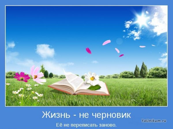 Жизнь